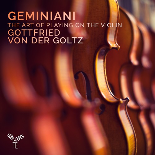 The Art of Playing on the Violin