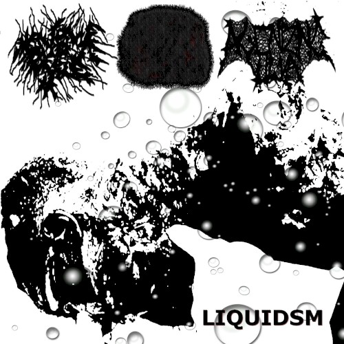 LIQUIDSM