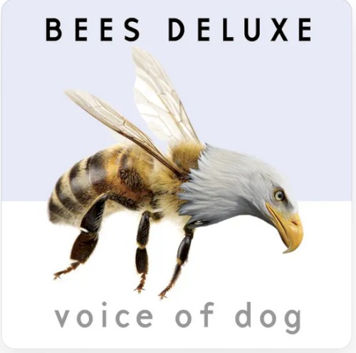 Voice of Dog