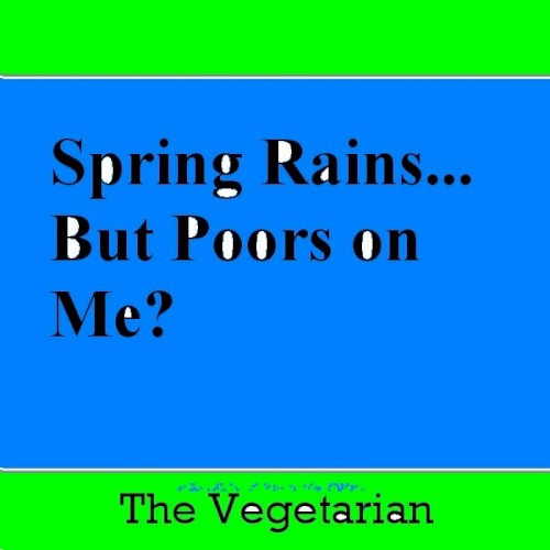 Spring Rains... But Poors on Me?