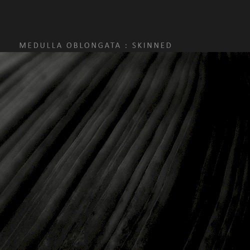 Skinned