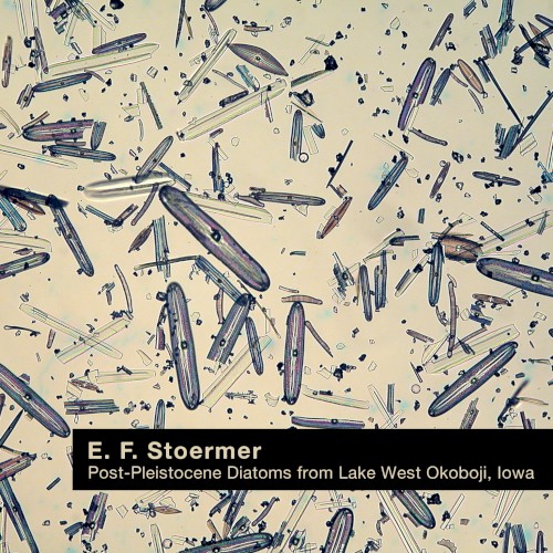 Post-Pleistocene Diatoms From Lake West Okoboji, Iowa