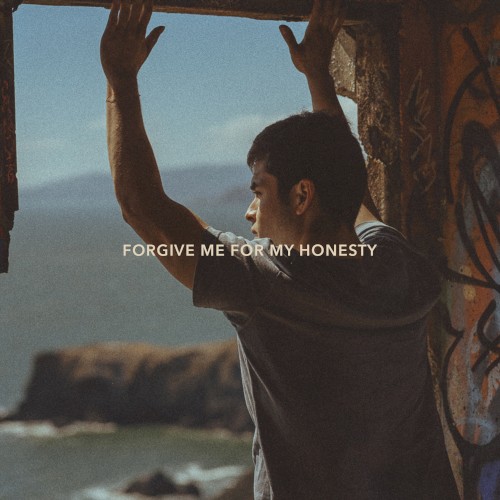 Forgive Me For My Honesty