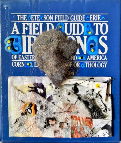 The Ete Son Field Guide Erie &ndash; A Field Uid to Ird Son S
