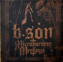 Microbarome Meetings