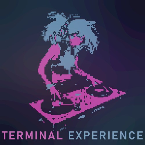 Terminal Experience