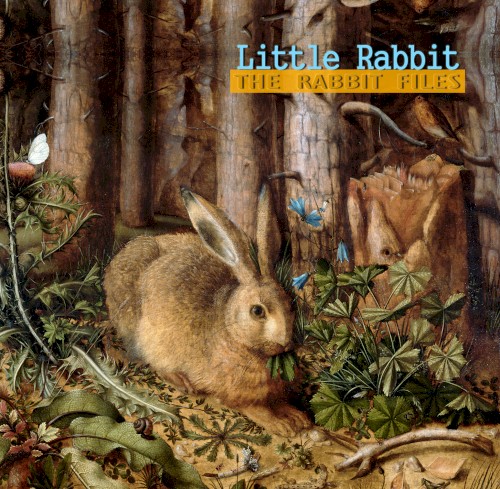 The Rabbit Files