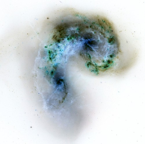 The Astral Fetus