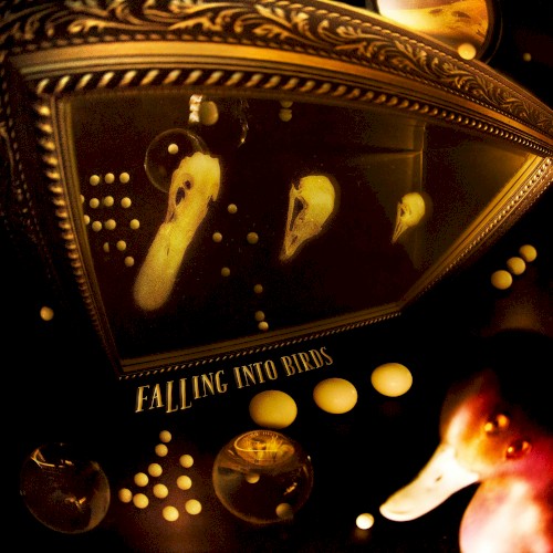 Falling into Birds