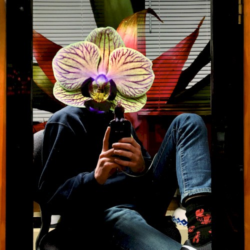 In Bloom