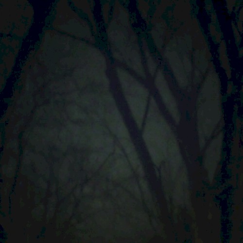 Fragments