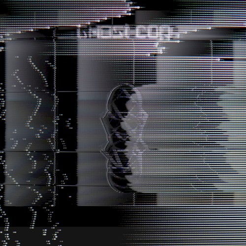 The Remixes