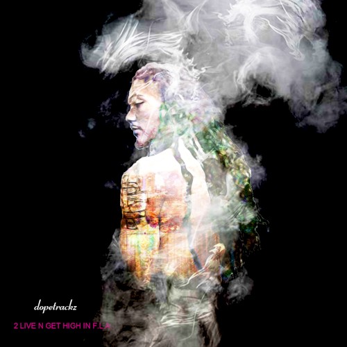 2 Live N Get High In F.L.A.