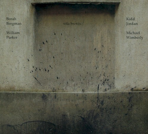 Vita brevis