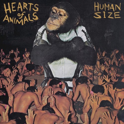 Human Size