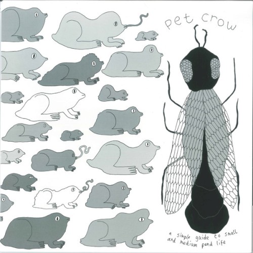A Simple Guide to Small and Medium Pond Life