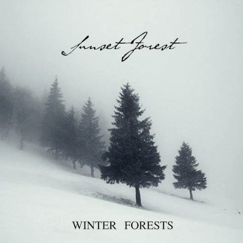 Winter Forests