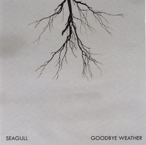 Goodbye Weather
