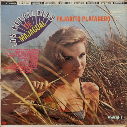 Pajarito platanero