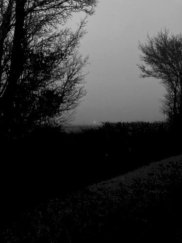 Nocturnes