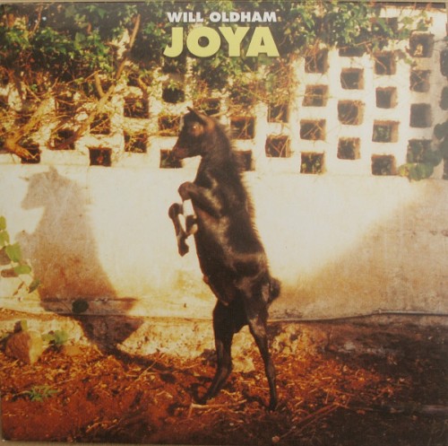 Joya