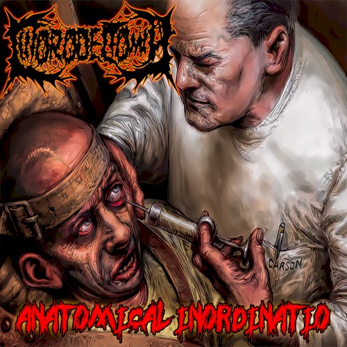 Anatomical Inordinatio