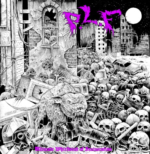 Ultimate Whirlwind of Incineration