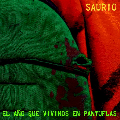 El año que vivimos en pantuflas