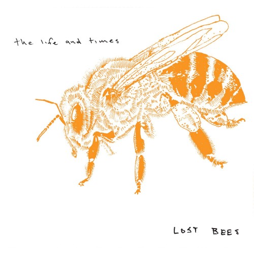 Lost Bees