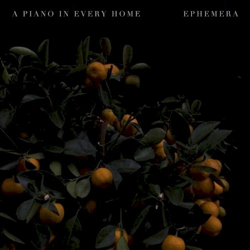 Ephemera