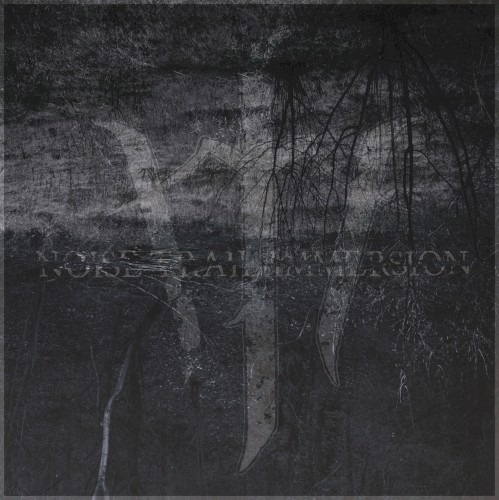 Noise Trail Immersion