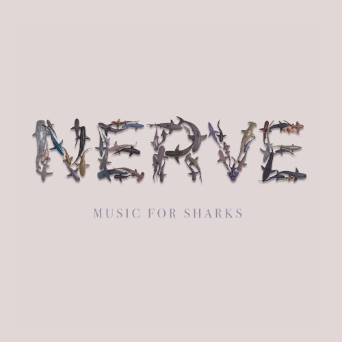 Music for Sharks