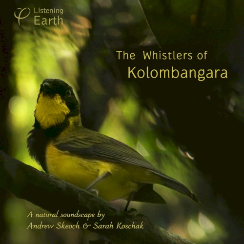 The Whistlers of Kolombangara