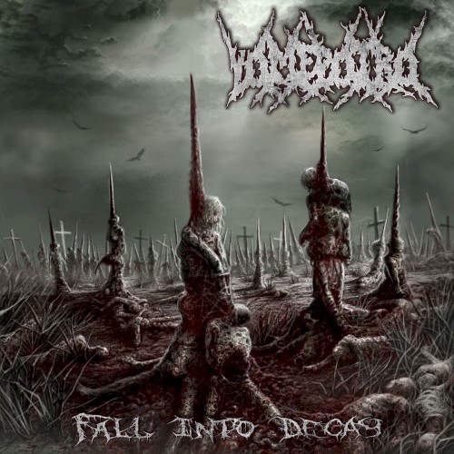 Fall Into Decay