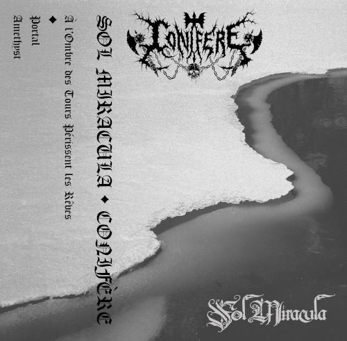Conifère / Sol Miracula