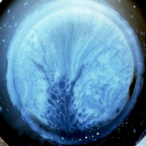 z2.6i (warp)