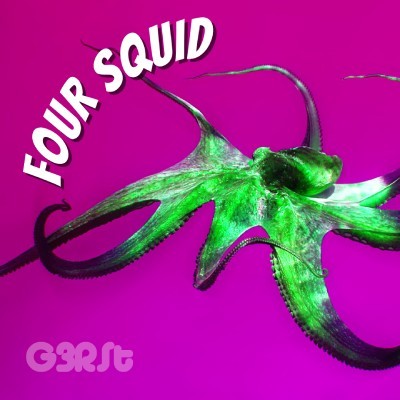 Four Squid