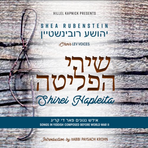 Shirei Hapleita