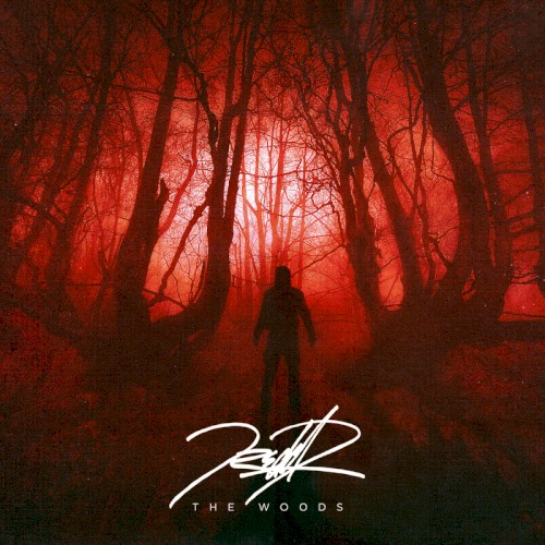 The Woods