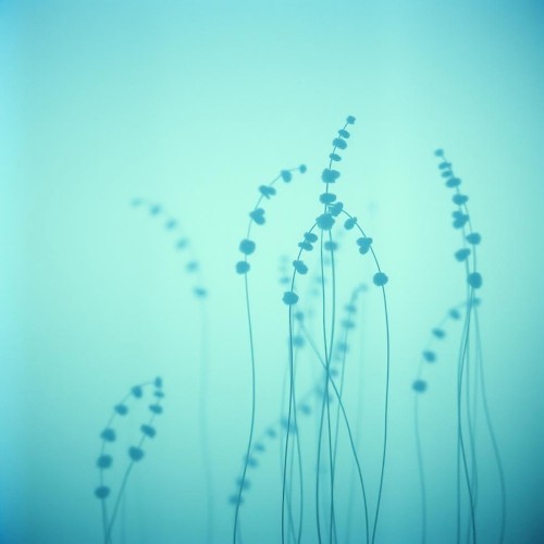 Surface Memory