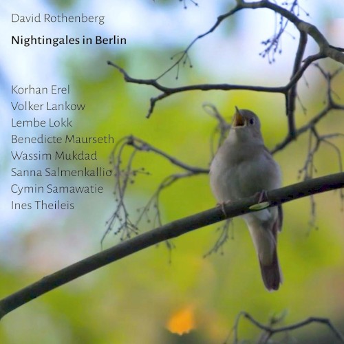 Nightingales in Berlin