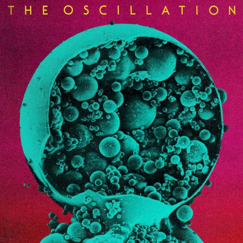 Out of Phase