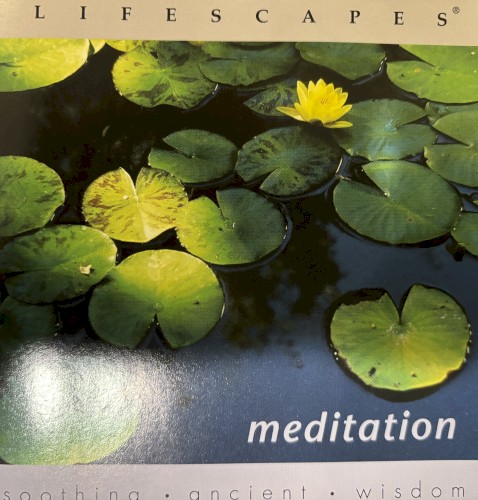 Lifescapes: Meditation