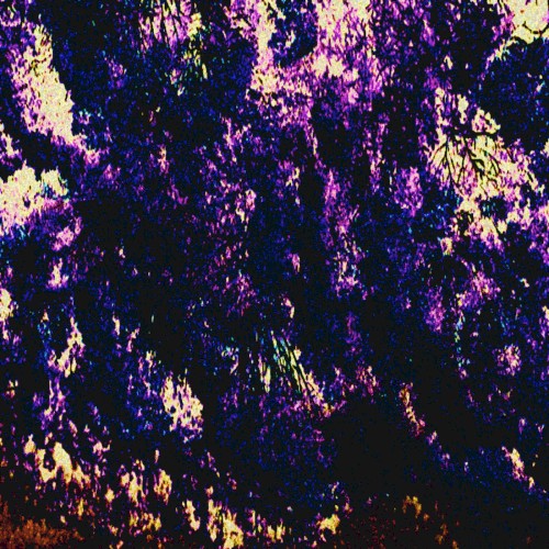 ů̸̠ɹ̶͉̀ə̴̳͊ɟ̵͔̈́