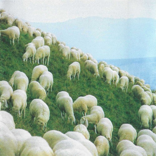 Germinale