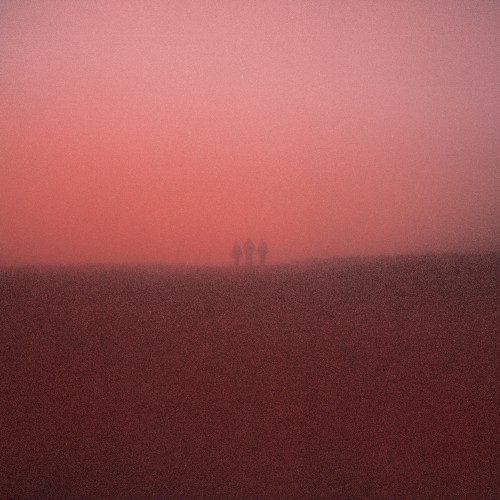 Fog Infinite