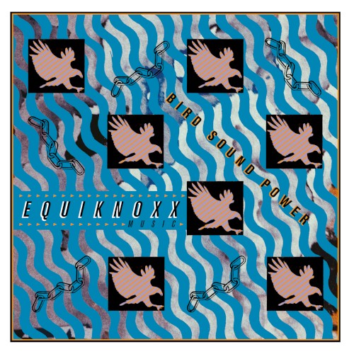 Bird Sound Power