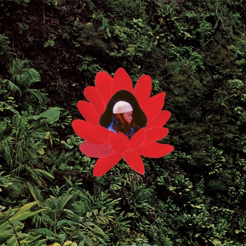 When The Flowers Bloom