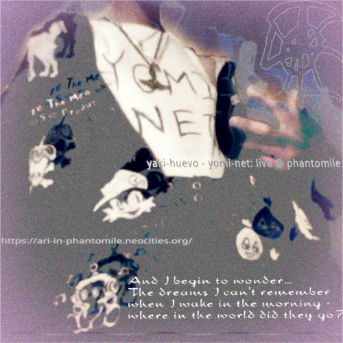 yomi-net:_live_@_phantomile