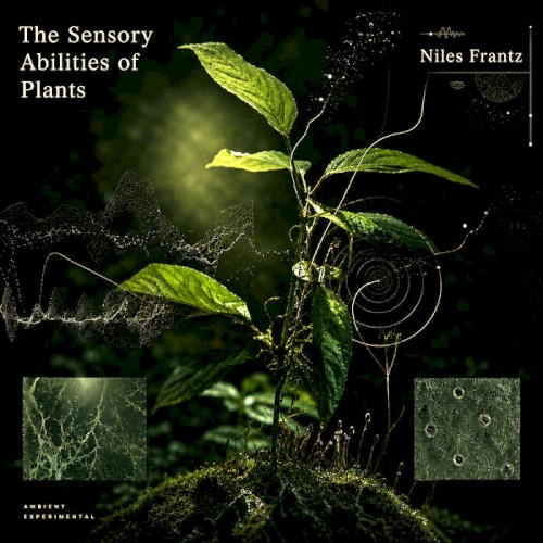 The Sensory Abilities of Plants: Music For Sitting Quietly 6